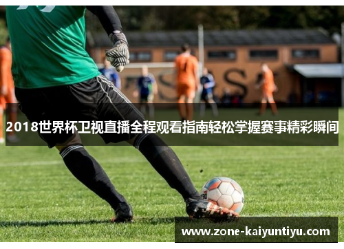 2018世界杯卫视直播全程观看指南轻松掌握赛事精彩瞬间