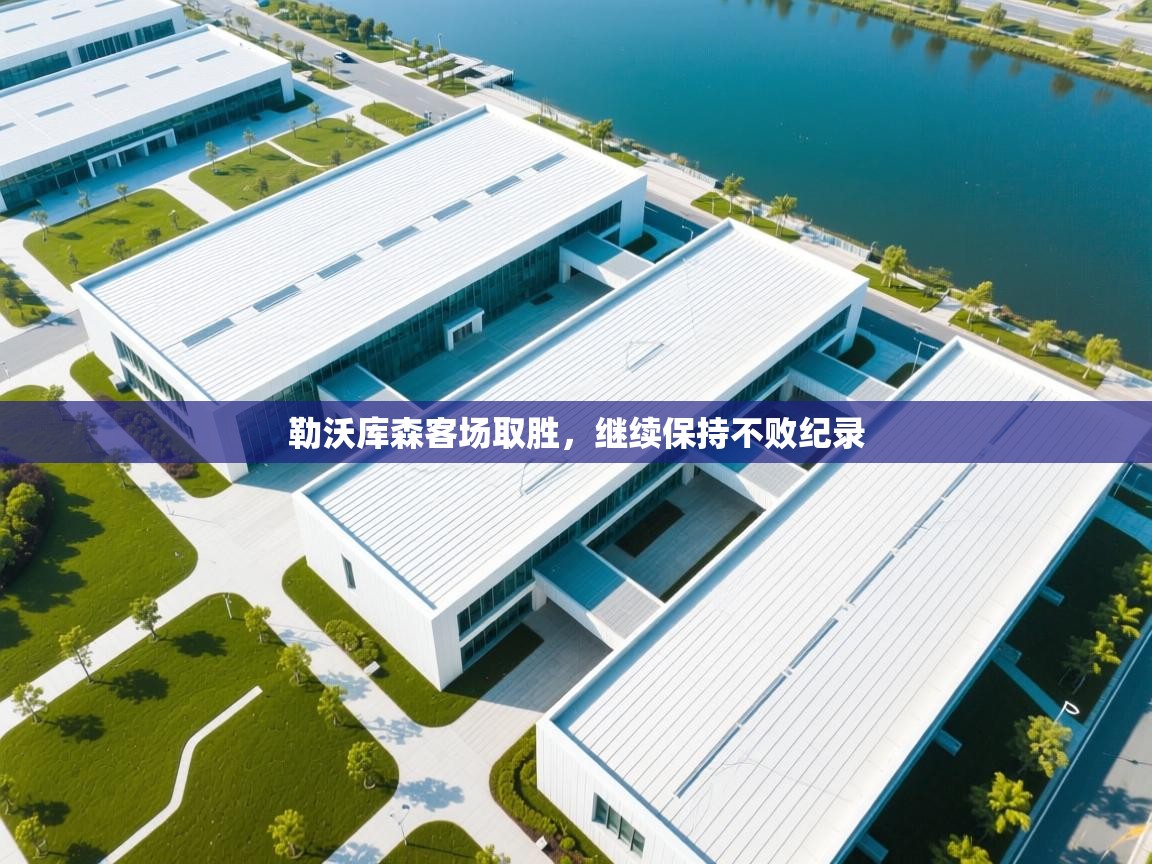 勒沃库森客场取胜，继续保持不败纪录  第2张