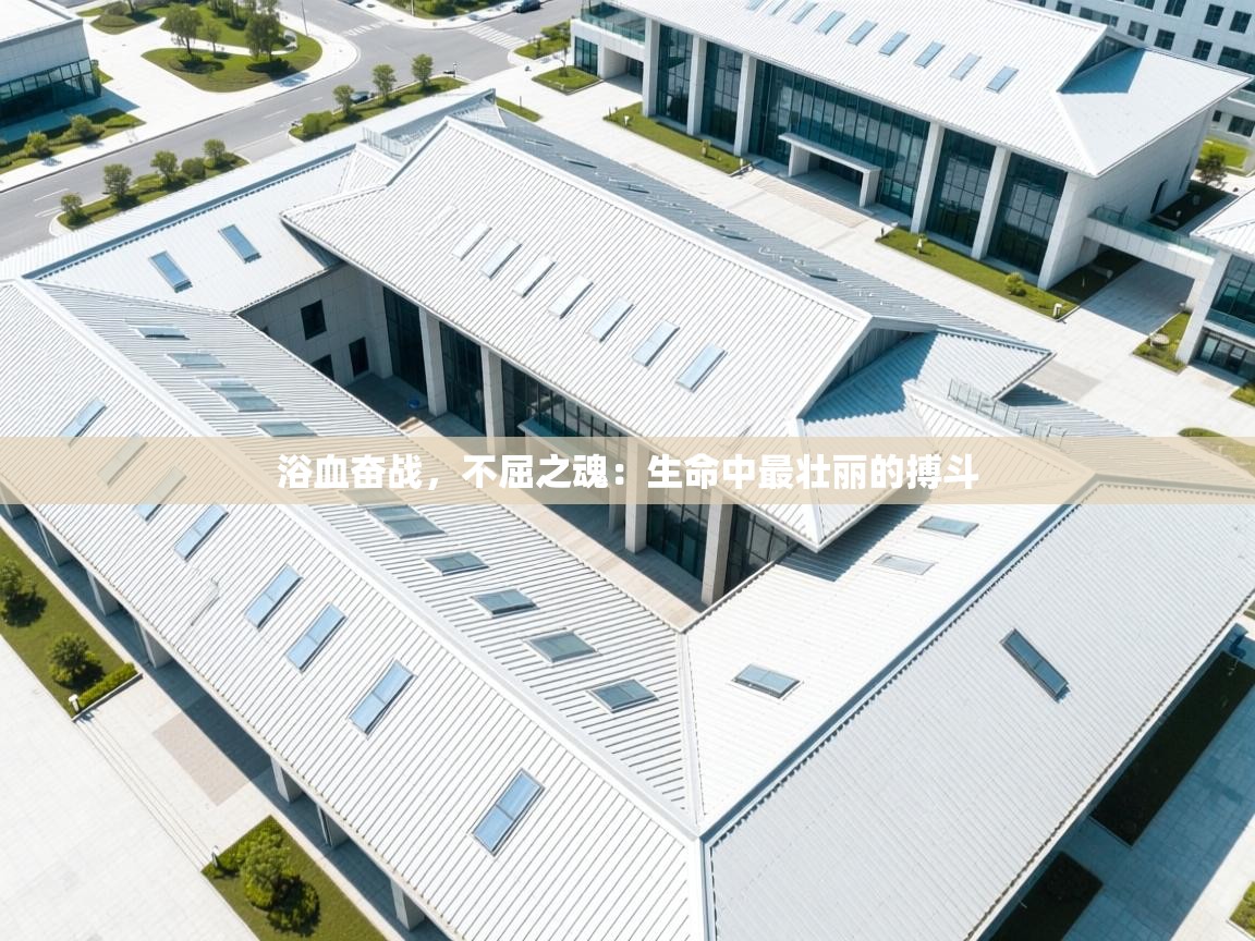 浴血奋战，不屈之魂：生命中最壮丽的搏斗  第2张