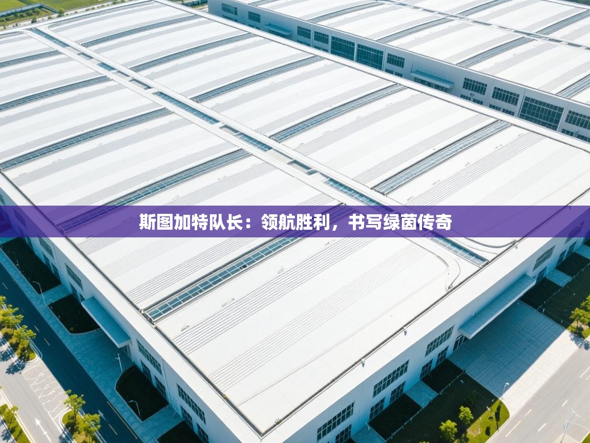 斯图加特队长：领航胜利，书写绿茵传奇  第1张