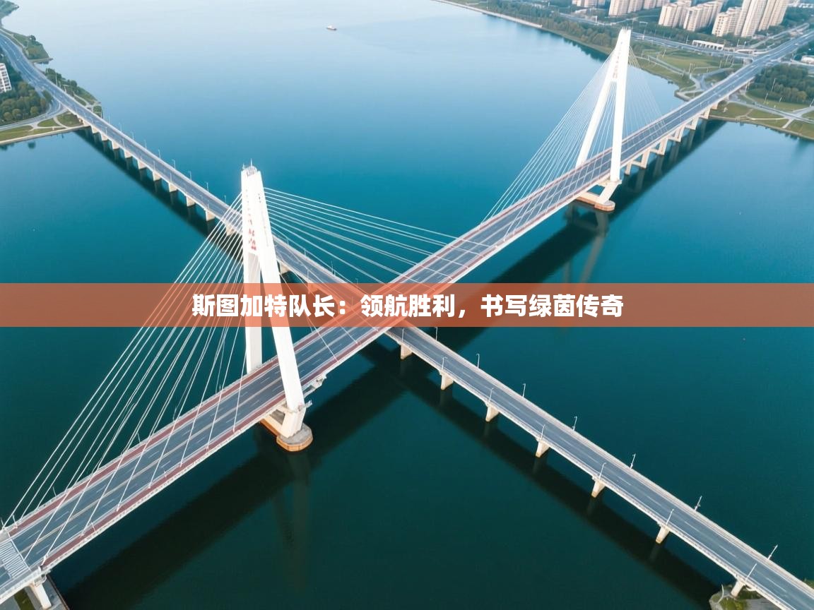 斯图加特队长：领航胜利，书写绿茵传奇  第2张